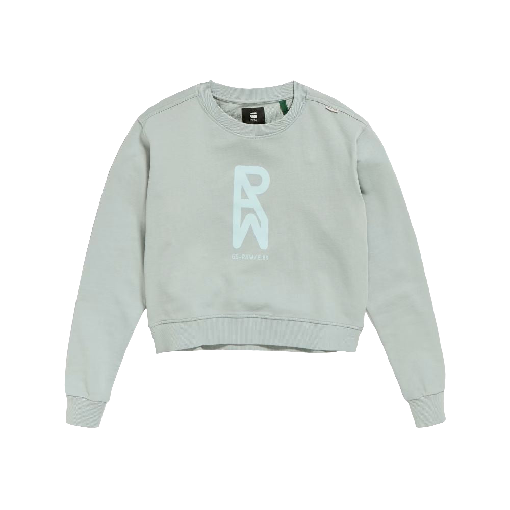 SWEAT GS RAW