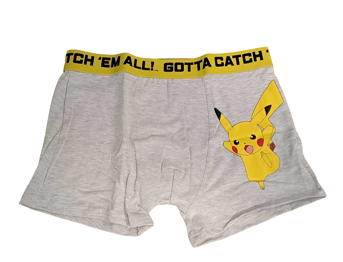 LOT DE 2 BOXERS POKEMON
