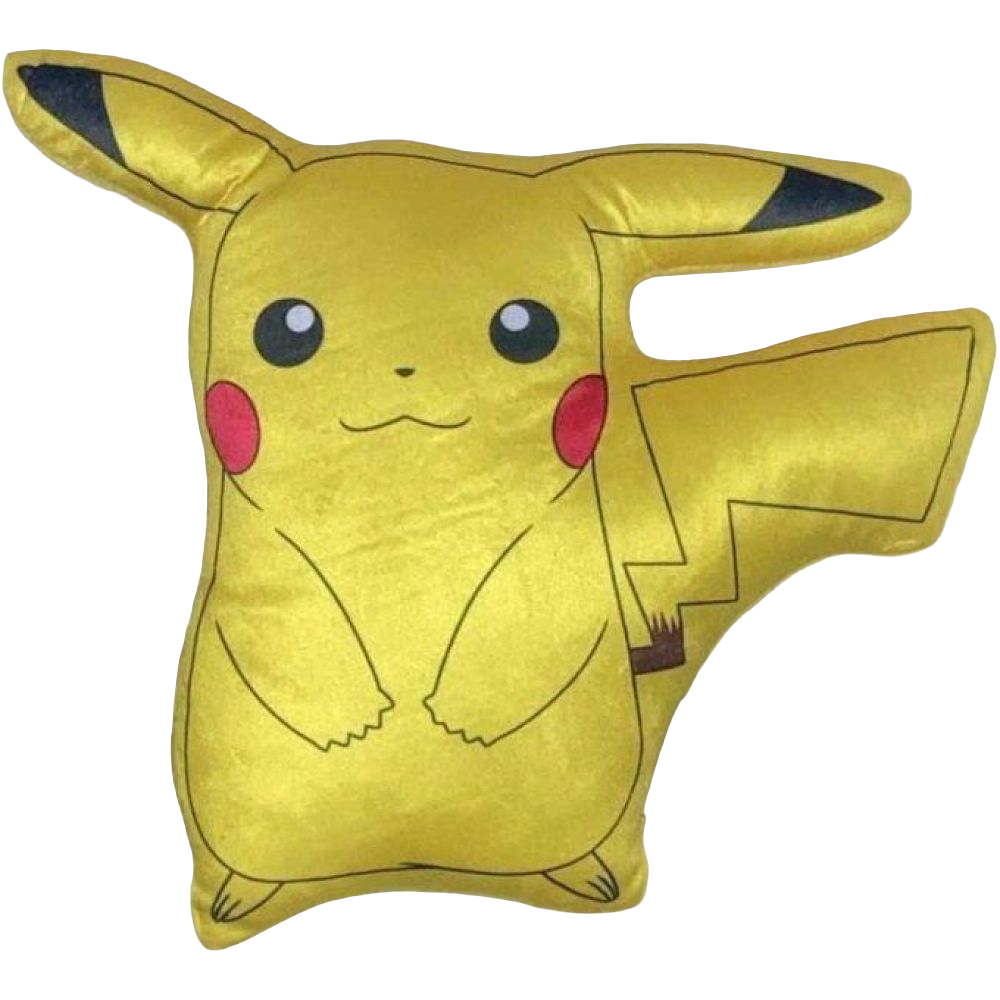 COUSSIN FORME POKEMON