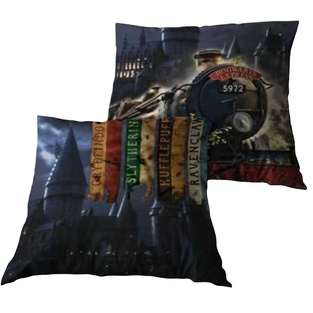 COUSSIN HARRY POTTER