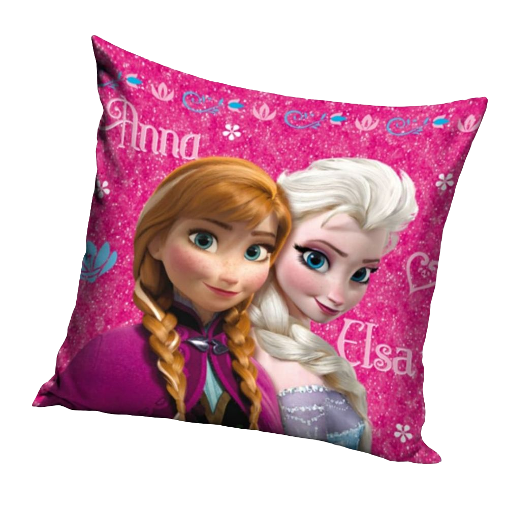 COUSSIN DISNEY REINE DES NEIGE