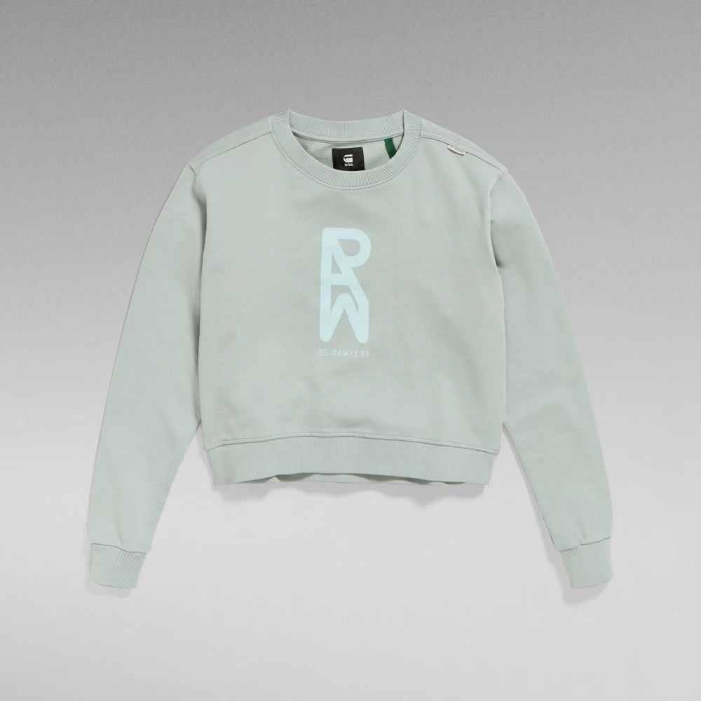 SWEAT GS RAW