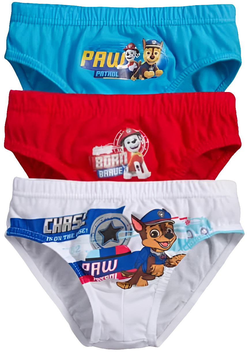 LOT DE 3 SLIPS PAT PATROUILLE