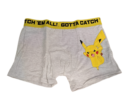 LOT DE 2 BOXERS POKEMON