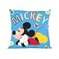 COUSSIN DISNEY MICKEY