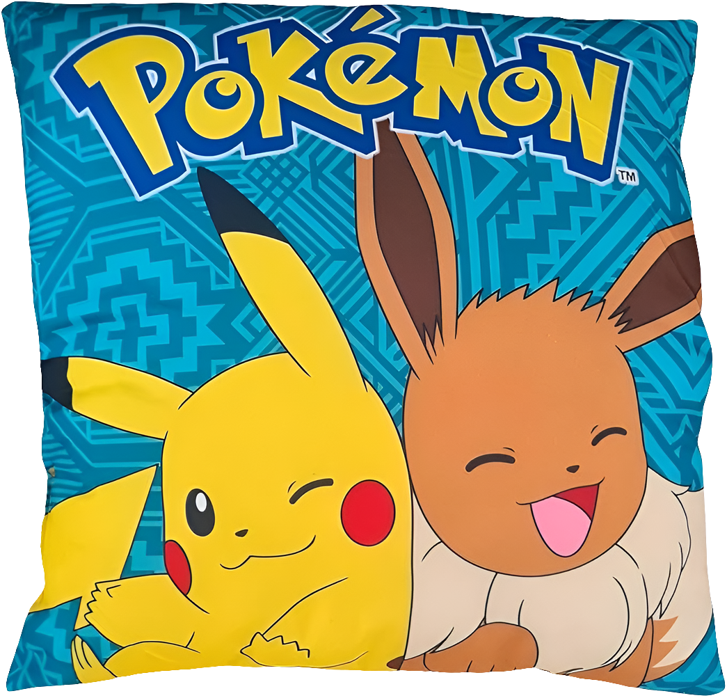 COUSSIN POKEMON