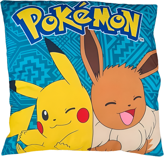 COUSSIN POKEMON