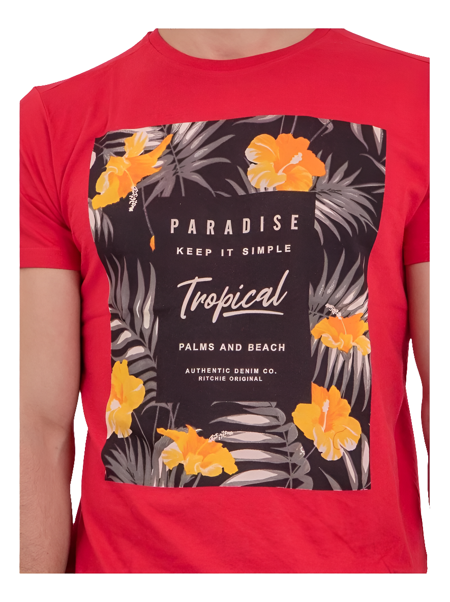 TEE SHIRT MANCHE COURTE RITCHIE DENIM