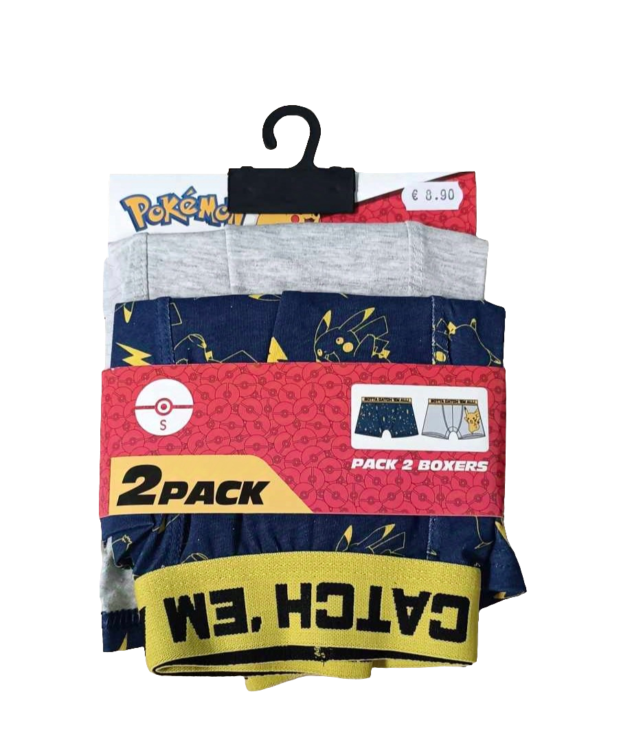 LOT DE 2 BOXERS POKEMON