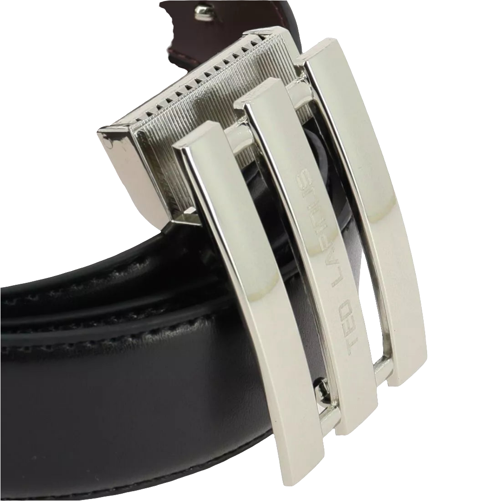 COFFRET CEINTURE TED LAPIDUS