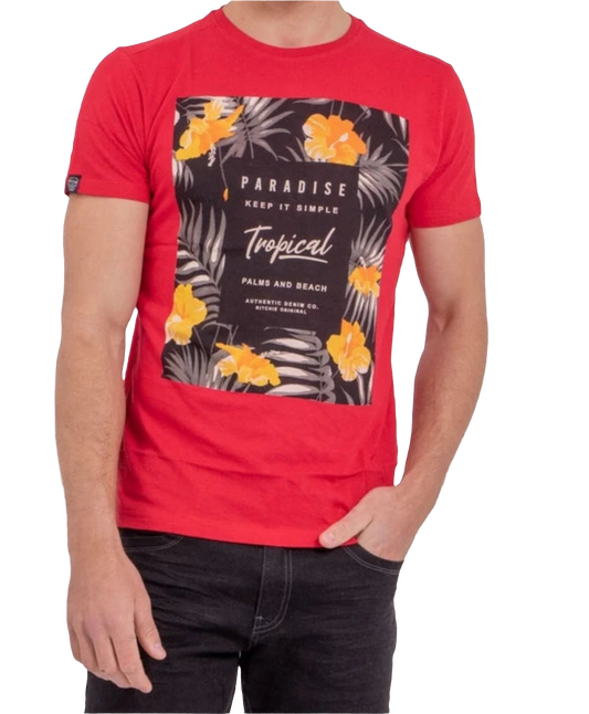 TEE SHIRT MANCHE COURTE RITCHIE DENIM