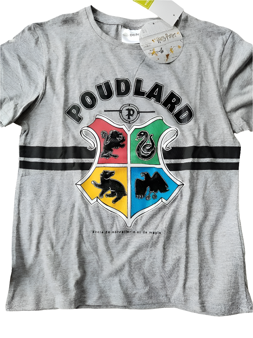 TEE SHIRT MANCHE COURTE HARRY POTTER