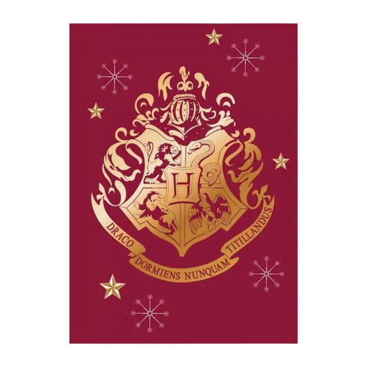 PLAID POLAIRE HARRY POTTER