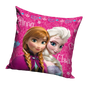 COUSSIN DISNEY REINE DES NEIGE
