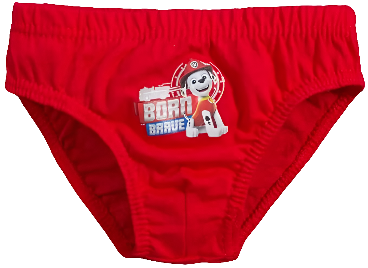 LOT DE 3 SLIPS PAT PATROUILLE
