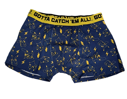 LOT DE 2 BOXERS POKEMON