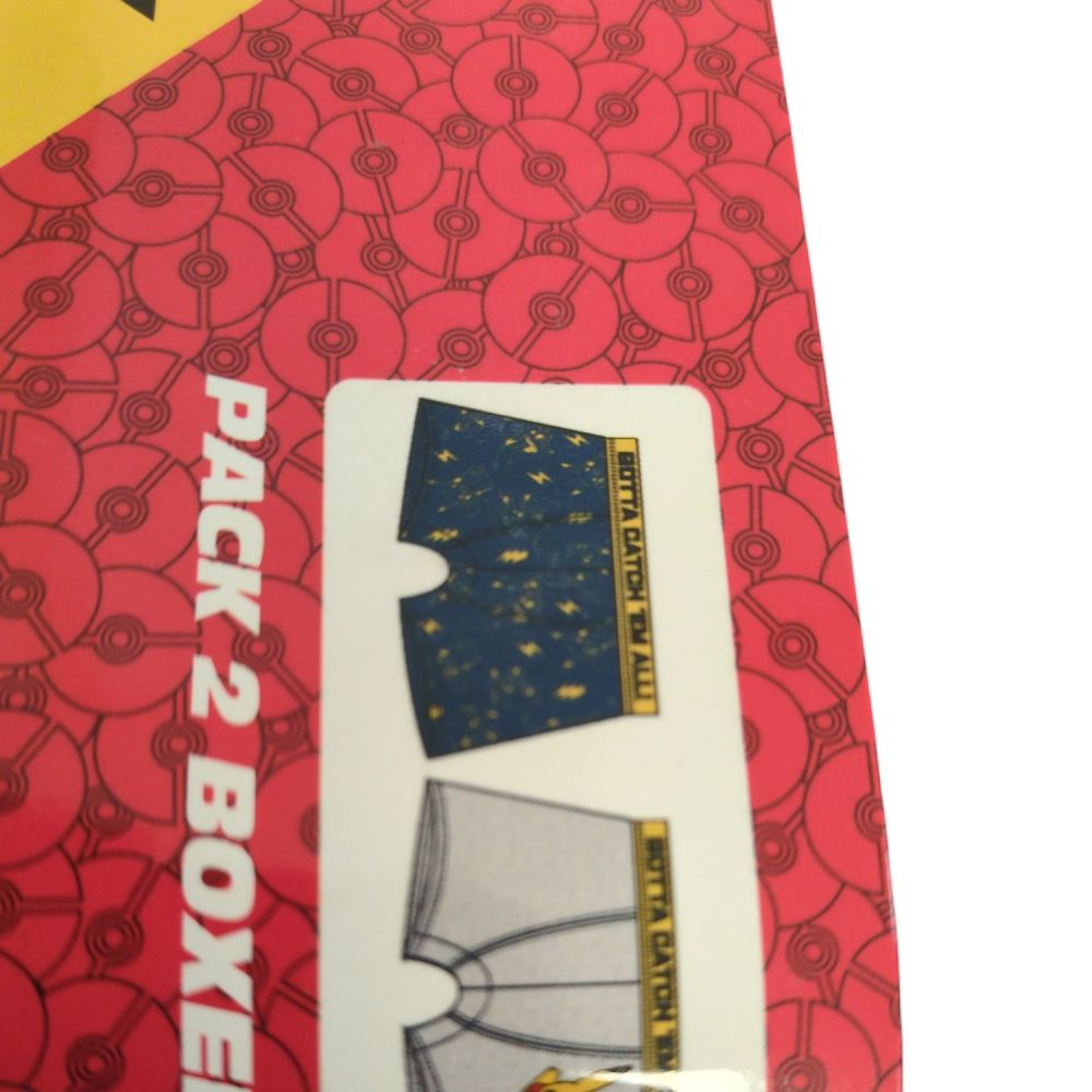LOT DE 2 BOXERS POKEMON